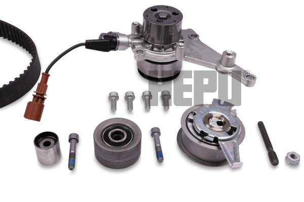 Pompa acqua + Kit cinghie dentate - PK55020 HEPU